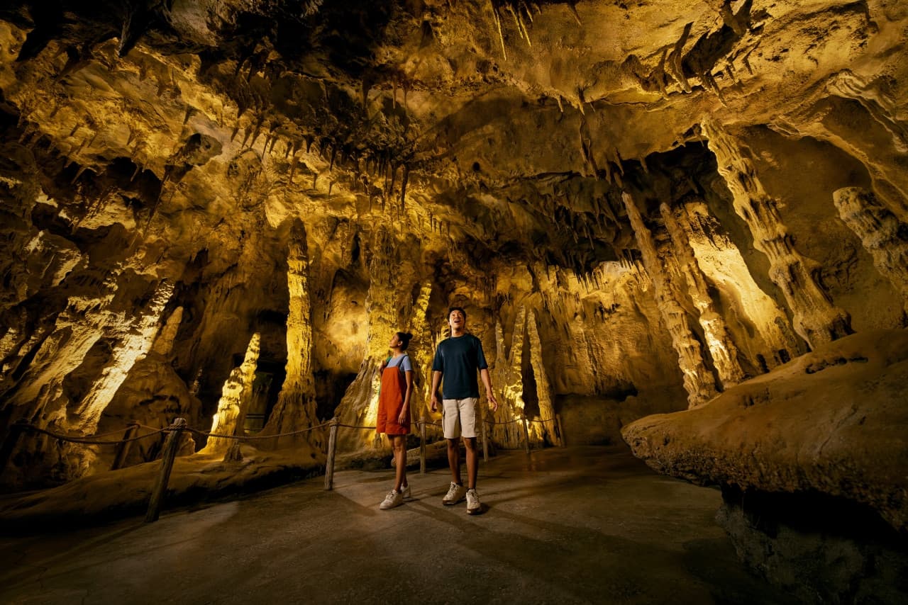 5-in-1 Day Pass: Night Safari + Singapore Zoo + Bird Paradise + River Wonders + Rainforest Adventure - image 15