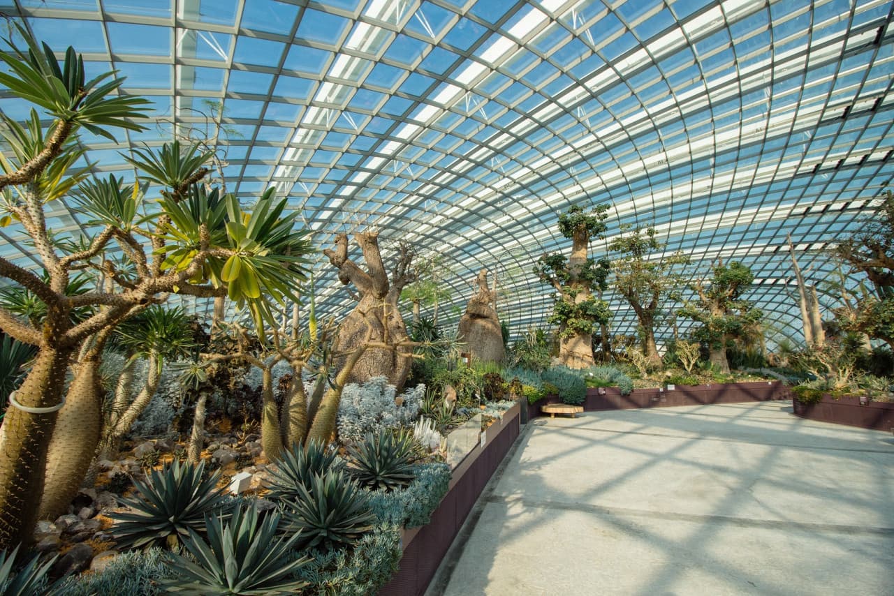 COMBO: Adventure Cove Waterpark + Gardens by the Bay Ticket - image 8